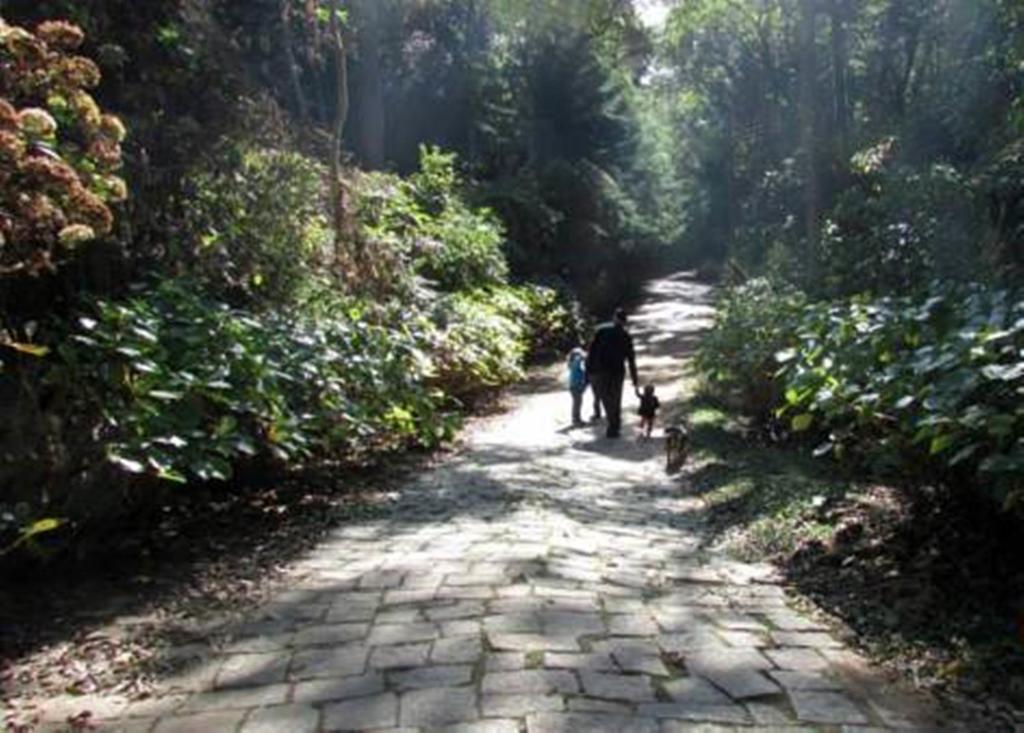 Refugio Melissa Διαμέρισμα Campos do Jordão Δωμάτιο φωτογραφία