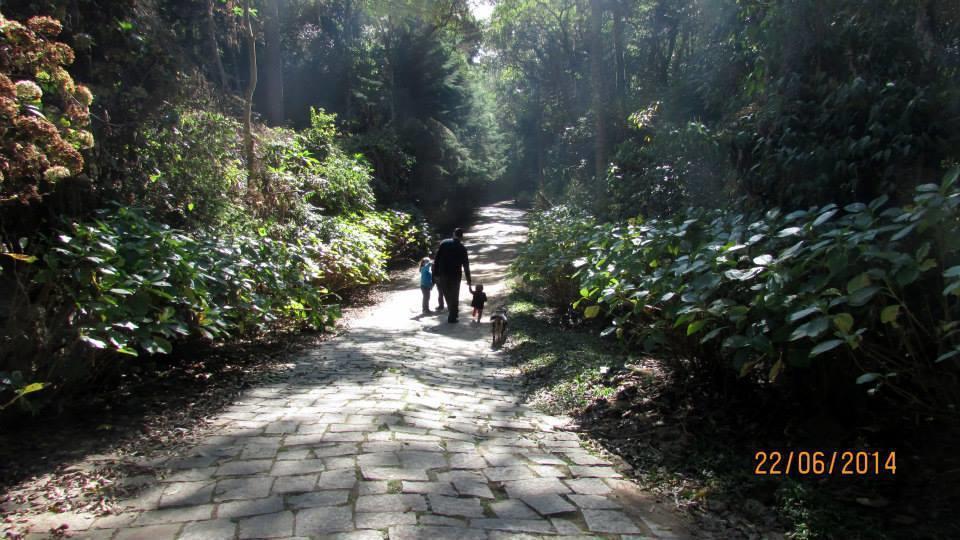 Refugio Melissa Διαμέρισμα Campos do Jordão Εξωτερικό φωτογραφία